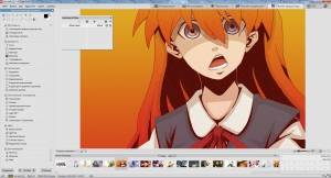 ACDSee Pro 9.3 Build 545 Portable by RazorLine [Ru]