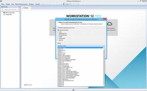 VMware Workstation 12 Pro 12.5.0 build 4352439 Lite RePack by qazwsxe [Ru/En]