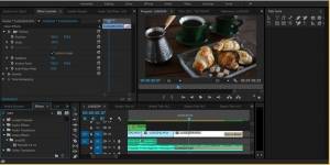 ProDAD Mercalli V2 Plugin 2.0.126.1 Tech. r79 (x64) [En]