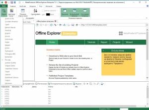 MetaProducts Offline Explorer Enterprise 7.3.4530 Portable by punsh [Multi/Ru]