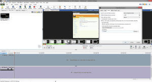 VideoPad Professional 4.48 [En]