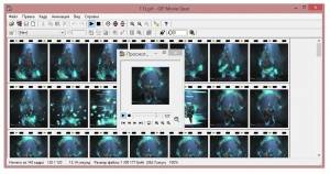 GIF Movie Gear 4.3.0 RePack (& Portable) by Trovel (Upd. 08.01.2017) [Ru/En]