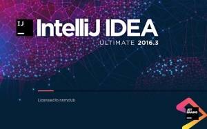   JetBrains IntelliJ IDEA Ultimate 2016.3.3 Build #IU-163.11103.6 