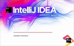   JetBrains IntelliJ IDEA Ultimate 2017.1 Build #IU-171.3780.95 