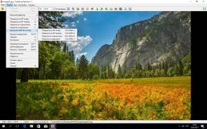 FastStone MaxView 3.1 RePack (& Portable) by VIPol [Ru]