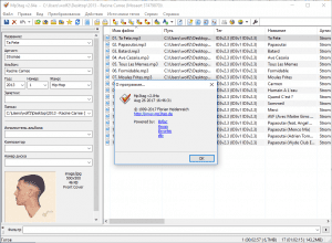 Mp3tag 2.85 + Portable [Multi/Ru]