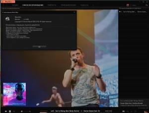 MusicBee 3.6.9202 + Portable [Multi/Ru]