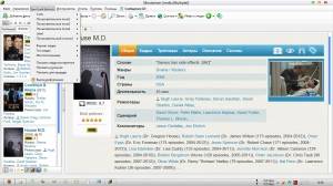Movienizer v6.1 Build 371 Final