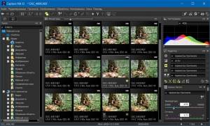 Nikon Capture NX-D 1.6.5 [Multi/Ru]