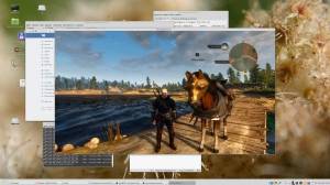 Linux   22.3.6 ( Mint Mate 18.3) [ ] [amd64] 1xDVD