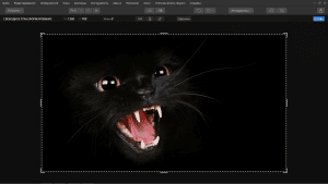 Luminar 4.3.0.7119 RePack (& Portable) by elchupacabra [Multi/Ru]