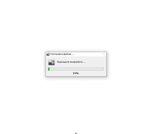 RuntimePack Lite 17.3.14 (x86-x64) [Ru]