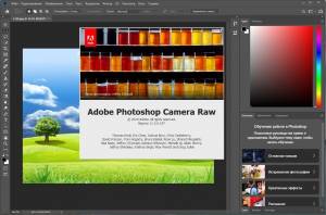 Adobe Photoshop CC 2019 (20.0.7) x64 Portable by punsh (with Plugins) [Multi/Ru]