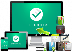   Efficcess Pro 5.60 Build 559 