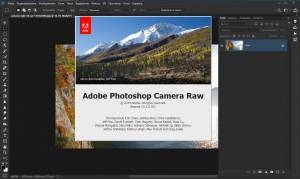 Adobe Photoshop 2020 21.0.3 x64 Lite Portable by punsh (with Plugins) [Multi/Ru]