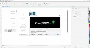 CorelDRAW Graphisc Suite 2019 21.3.0.755 [En]