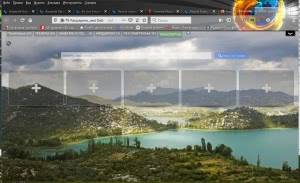 Mozilla Firefox 72.0.2 RePack (& Portable) by Diakov [Ru]