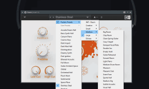 Native Instruments - Raum 1.0.0 VST, AAX (x64) [En]
