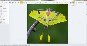 Photo Pos Pro 3.63 Build 22 [En]