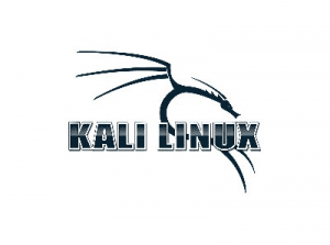   Kali Linux 2020.4 (ex. BackTrack)  , . [amd64, i386] 4xDVD, 2xCD 
