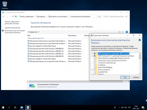 Windows 10.0.17763.316 Enterprise LTSC Version 1809 (x64) [v.Special] by YelloSOFT [RU]