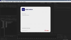 Adobe Audition 2021 14.4.0.38 RePack by KpoJIuK [Multi/Ru]