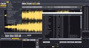 Acon Digital Acoustica Premium 7.3.1 (x64) [Ru/En]