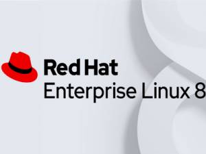   Red Hat Enterprise Linux 8.4 [amd64, aarch64] 2xDVD 