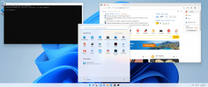 Microsoft Windows 11 [10.0.22000.2416], Version 21H2 (Updated September 2023) -    Microsoft MSDN [Ru]