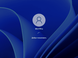 Windows 11 Pro 21H2 22000.376 x64 ru by SanLex [Gaming Edition] [Ru]