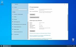 Microsoft Windows 10.0.19043.1288 Professional Version 21H1 (Updated October 2021) By SLMP [Ru]