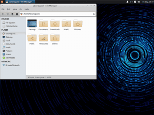 Ubuntu*Pack 20.04 Xfce / Xubuntu [amd64] []