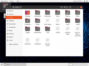Ubuntu*Pack 20.04 GNOME Classic [amd64] []