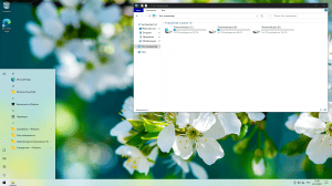 Windows 10 PRO 21H2 x64 RU [GX 24.12.21]
