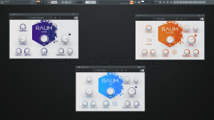 Native Instruments - Raum 1.2.2 VST, VST3, AAX [En]
