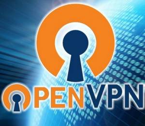   OpenVPN   RePack by elchupacabra 