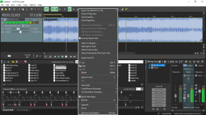 MAGIX - ACID Pro 11.0.1.17 Suite (x64) [Multi]