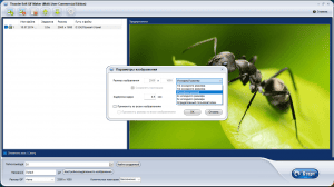 ThunderSoft GIF Converter 4.3.0.0 RePack by 78Sergey [Ru]