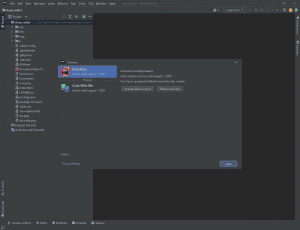 JetBrains RubyMine 2022.2 [En]