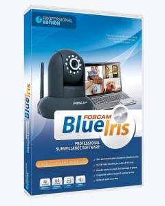   Blue Iris 