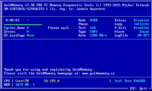 GoldMemory PRO 7.98 [En]