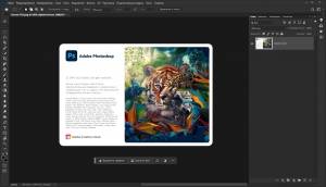 Adobe Photoshop 2024 (25.1.0.120) Portable by XpucT [Ru/En]