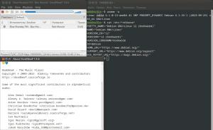 DeaDBeeF for Linux 1.9.6 [x86_64] (deb, rpm, pkg.tar.xz, tar.bz2)