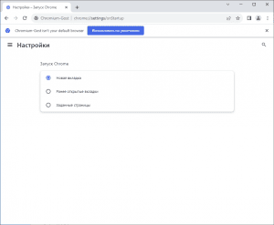 Chromium-Gost 122.0.6261.128 + Portable [Multi/Ru]