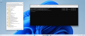 Microsoft Windows 11 [10.0.22631.3447], Version 23H2 (Updated April 2024) -    Microsoft MSDN [Ru]