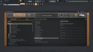 u-he - Twangstorm 1.0.2 VST, VST 3, AAX (x86/x64) [En]