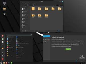 Linux Mint 22.1 Xia (Cinnamon Edition, MATE Edition, Xfce Edition) [64-bit] 3xDVD