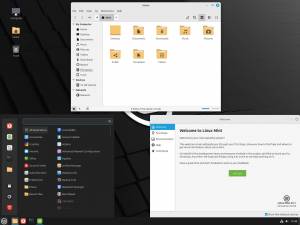 Linux Mint 22.1 Xia (Cinnamon Edition, MATE Edition, Xfce Edition) [64-bit] 3xDVD