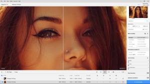 Topaz Gigapixel AI Pro 8.3.3 RC [En]