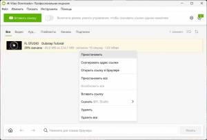 4K Video Downloader+ 25.0.0.182 RePack (& Portable) by Dodakaedr [Ru/En]